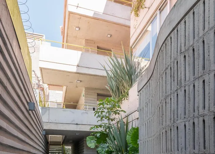 Spacious And Cozy In México DF
