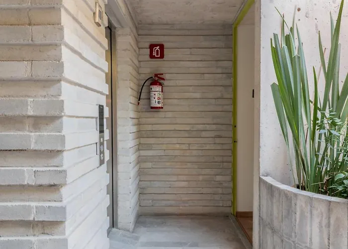 Spacious And Cozy In México DF