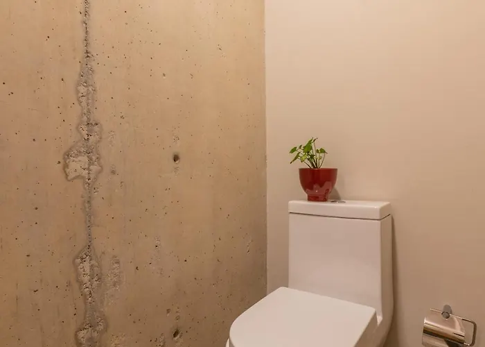 Spacious And Cozy In Apartamento