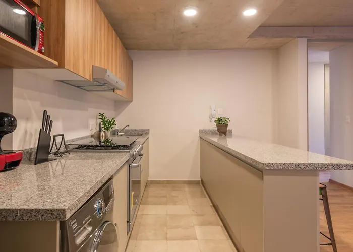 Apartamento Spacious And Cozy In México DF